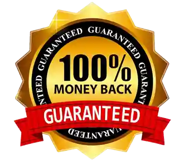 Derila Ergo Pillow 60-Day Guarantee