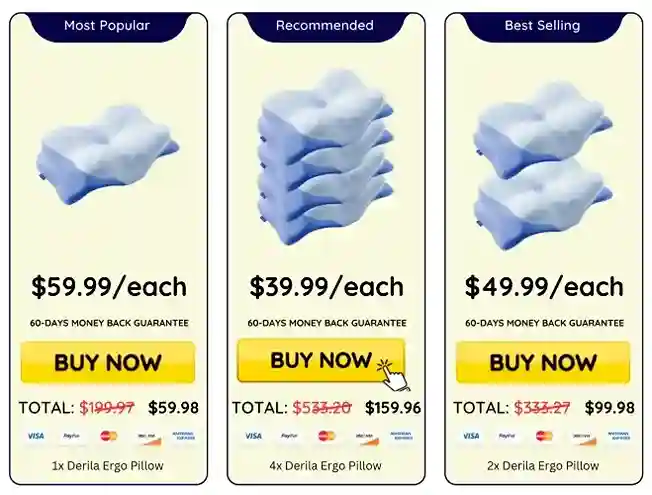 Derila Ergo Pillow Pricing &mdash; Official USA Checkout